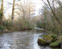 IMG_20250328_172647