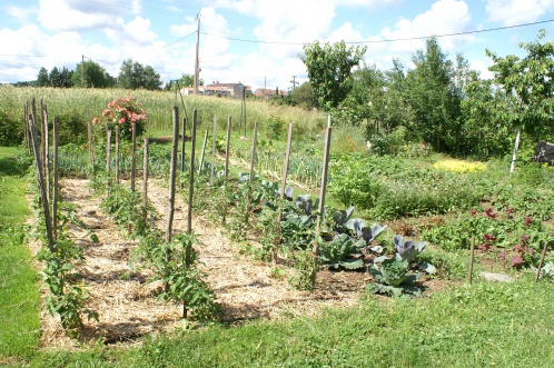 potager-bio-passemarie