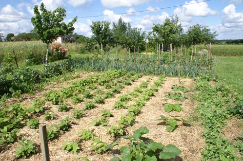 potager-maisondhotes-passemarie